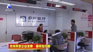 人行廊坊中心支行強化金融服務功能 助推民營企業(yè)快速發(fā)展
