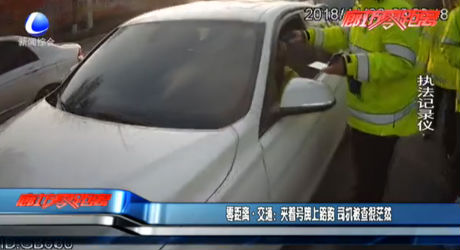 零距離·交通：夾著號牌上路跑 司機(jī)被查很茫然