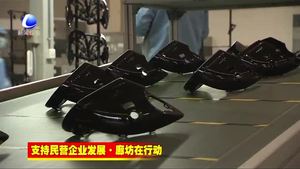 香河新興產(chǎn)業(yè)示范區(qū)精準(zhǔn)發(fā)力推進(jìn)民營經(jīng)濟(jì)高質(zhì)量發(fā)展