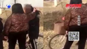 一小學(xué)生被人抽耳光 拽頭發(fā) 文安警方已介入調(diào)查