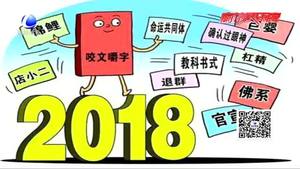 2018十大流行語發(fā)布 錦鯉官宣等上榜