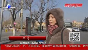 禮讓斑馬線 廊坊市民這么說