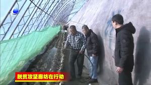 三河市山清種植有限公司以林果木廢物生產(chǎn)香菇助力高質(zhì)量脫貧