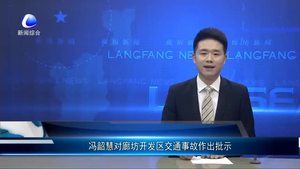 馮韶慧對廊坊開發(fā)區(qū)交通事故作出批示