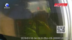 朋友圈買煙花  非法運(yùn)輸被查