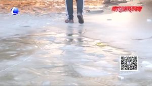 零距離·熱線：轎車過橋洞掉進(jìn)冰窟窿 司機(jī)希望設(shè)置警示牌