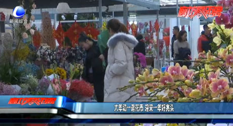 大年初一逛花市 迎來(lái)一年好兆頭