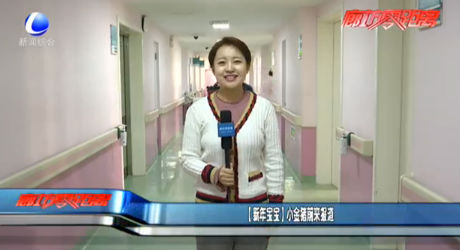 【新年寶寶】小金豬前來(lái)報(bào)道