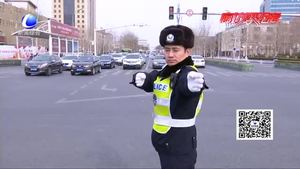 二十年春節(jié)堅守 只為護航回家路