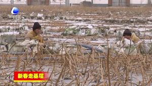 香河縣慶功臺(tái)美麗鄉(xiāng)村譜新篇