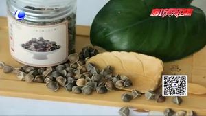 食在好源頭——天然植物黃金辣木籽