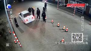 酒駕司機(jī)抗拒執(zhí)法 辱罵踢踹交警被刑拘