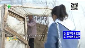 蔬菜大棚里的電流