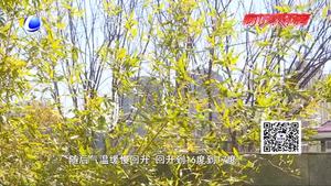 小雨過后 陽光回歸北風(fēng)起