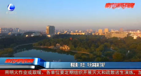 零距離關(guān)注：今天你植樹了嗎？