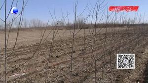 萬莊鎮(zhèn)扎實推進(jìn)征地工作 確保城際鐵路S6線順利施工