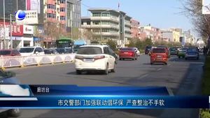 市交警部門加強聯(lián)動倡環(huán)保 嚴查整治不手軟