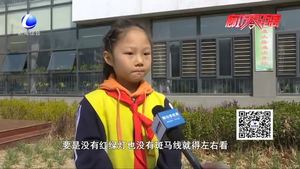 交通安全進校園 安全知識半成長