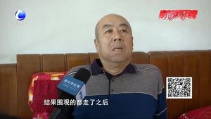 零距離·熱線:女子撞倒老人后逃逸 老人望其自首道歉