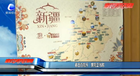 春日百花開 賞花正當時