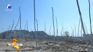 我市高標準高質量做好環(huán)保督查整改工作 全面加強生態(tài)環(huán)境建設