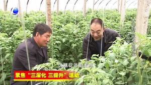 香河縣農(nóng)業(yè)氣象專家聯(lián)盟為農(nóng)業(yè)增產(chǎn) 農(nóng)民增收提供支撐