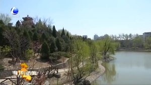 文明游園：勿讓“賞花”成“傷花”