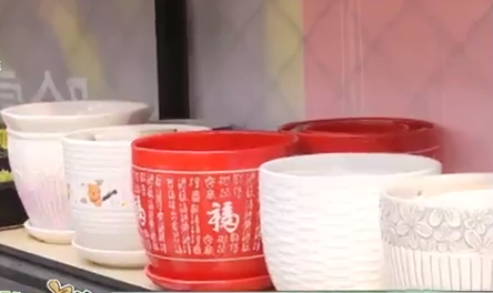 春季花卉換盆正當(dāng)時