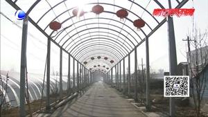 冬去春來顯生機 大棚蔬菜忙種植