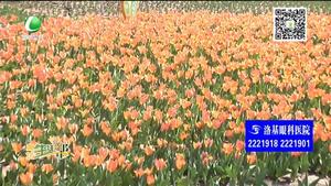 助你文明——文明游園 不要摘花