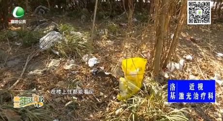 綠化帶變垃圾帶 這里到底歸誰(shuí)管