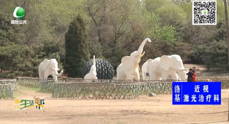 助你文明--請文明游園 讓春色長留