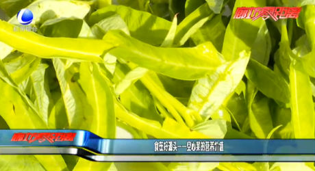 食在好源頭——空心菜的營養(yǎng)價值