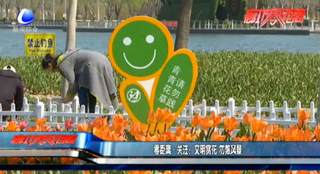 零距離·關(guān)注：文明賞花 勿煞風(fēng)景