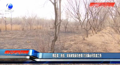 零距離熱線(xiàn)：果樹(shù)被燒損失慘重 村民痛心究竟誰(shuí)之責(zé)