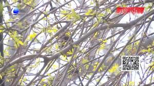 “五一”勞動(dòng)節(jié)加班 加班費(fèi)怎么算