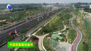 我市第一季度超額完成省下達(dá)全年?duì)I造林任務(wù)