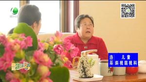 我和我的祖國——李桂蘭