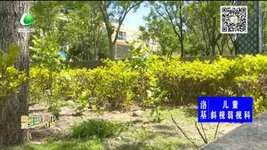 助你文明——愛護綠化 保持清潔