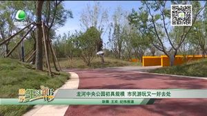 龍河中央公園初具規(guī)模 市民游玩又一好去處