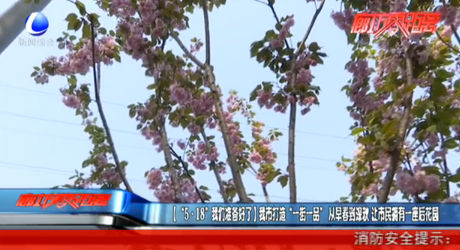 【“5·18”我們準備好了】我市打造“一街一品” 從早春到深秋 讓市民擁有一座后花園