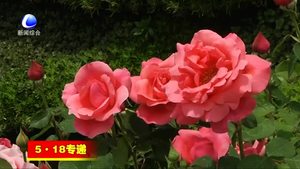 我市全力本站“5·18”經(jīng)洽會