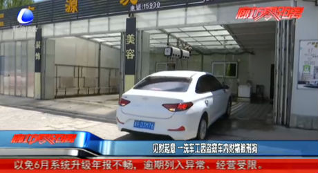 見財起意 一洗車工因盜竊車內(nèi)財物被刑拘