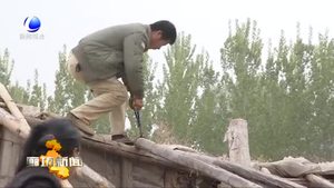 安次區(qū)開展永定河“清四亂”專項行動