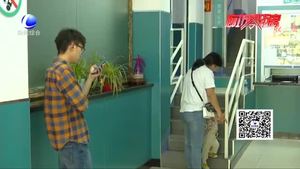 氣溫升高 貓狗進入“焦躁期”小心被咬傷