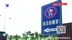 “被撞死翹翹”另類安全標注惹爭議