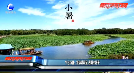 今日小暑：倏忽溫風(fēng)至 因循小暑來(lái)