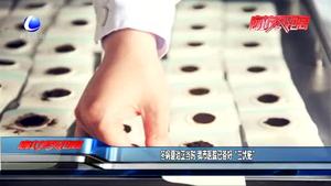 冬病夏治正當(dāng)時 我市醫(yī)院已備好“三伏貼”