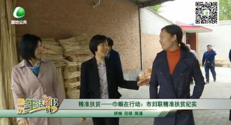 精準(zhǔn)扶貧——巾幗在行動：市婦聯(lián)精準(zhǔn)扶貧紀(jì)實