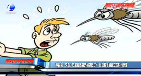 吃甜食喝啤酒易招蚊子？盤點蚊子最喜歡的究竟是誰